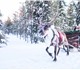 Новое foto Туры, путевки Прокат Финской визы 2408844 в Санкт-Петербурге Foto в Отдых и путешествия Туры, путевки Тур Финляндия на час от м. Пл. Восстания в Санкт-Петербурге 1 000